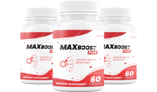 Max Boost - Image 3